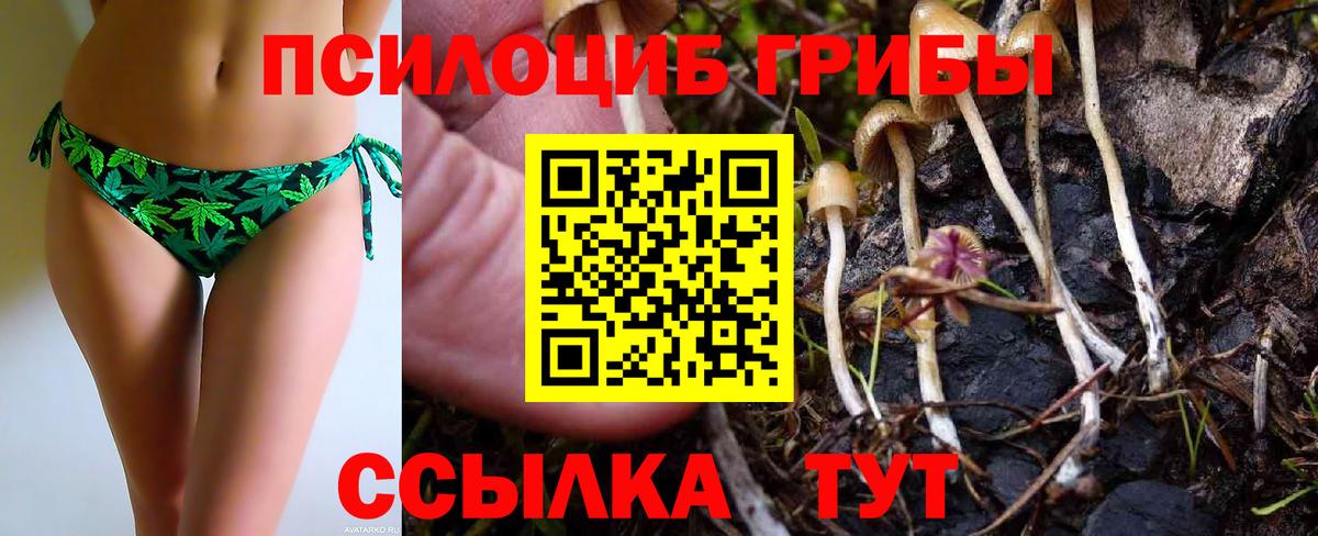Новоалтайск  Галлюциногенные грибы Magic Shrooms  Вход с VPN  Псилоцибиновые грибы GOLDEN TEACHER 